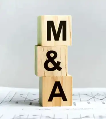 Mergers & Acquisitions (M&A)